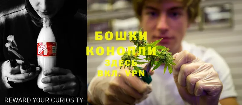 блэк спрут вход  площадка как зайти  МАРИХУАНА SATIVA & INDICA  Горняк 